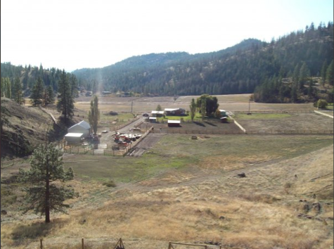 canadian marchador ranch