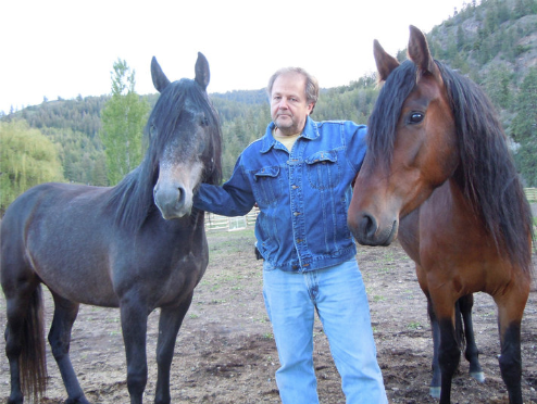 mangalarga marchadors