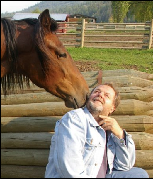 Mangalarga marchador mare regina de lazy t