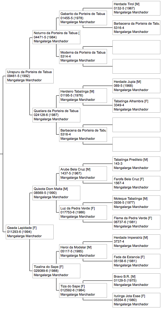 mangalarga marchador stallion pedigree