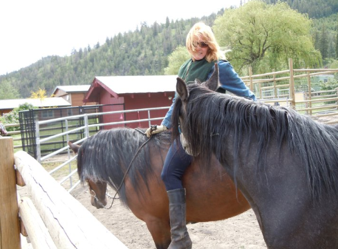 mangalarga marchadors