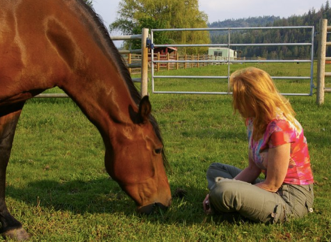 mangalarga marchadors