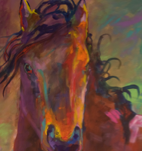 mangalarga marchador